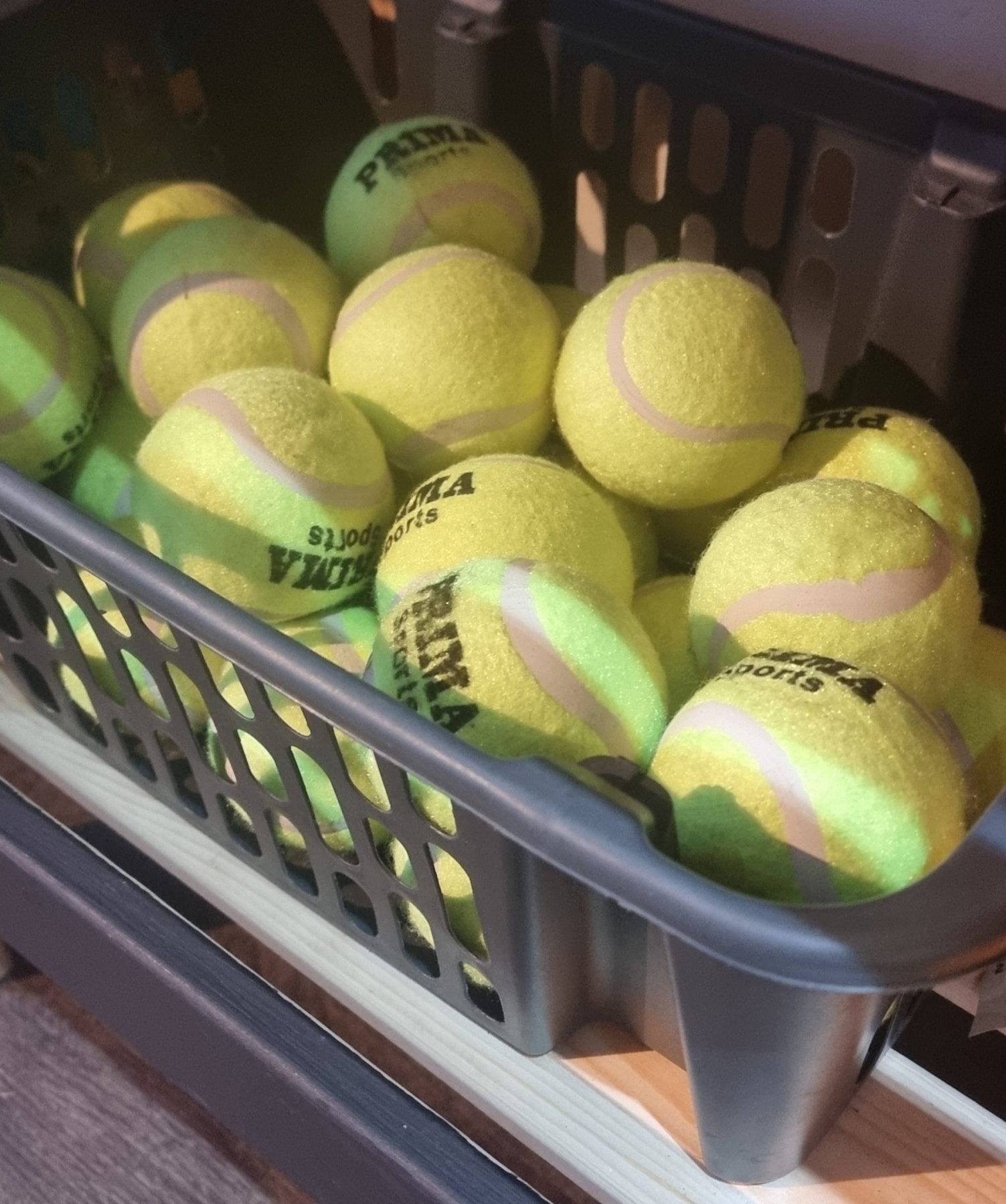 Doggy tennis ball